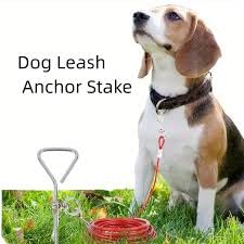Spiral Dog Tie Out Stake, Set of 2