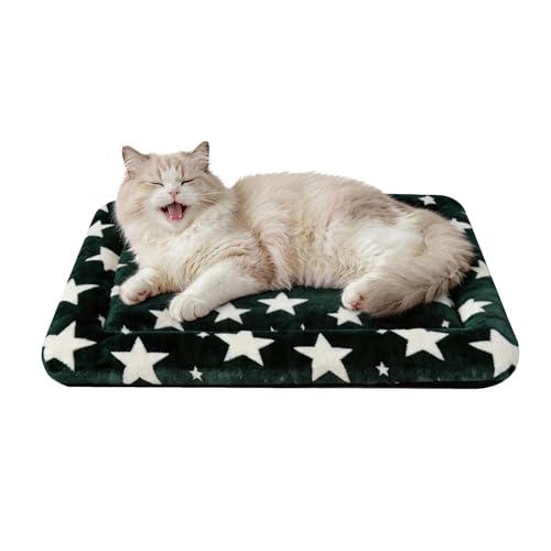 Dog Bed Mat – Soft & Comfortable Dog Kennel Pad for Crate – Durable Crate Bed & Mat for Dogs & Cats – Ideal for Crate, Kennel, and Home Use (Big&Little Stars Green, XS(18"*14"*1.5")) - color: Big&Little Stars Green, size: XS(18"*14"*1.5")