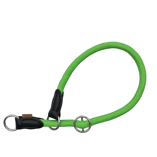 Braided Round Martingale Dog Collar, Training Collar with Slidable Stop Ring - Ideal for Medium/Large Dogs (M+(1/2") - 18" Long, Light Green) - color: Light Green, size: M+(1/2") - 18" Long