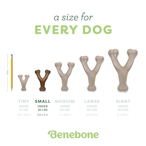 Benebone 2-Pack Wishbone Durable Dog Chew Toy for Aggressive Chewers, Real Bacon Made in USA, Large - size: 2 Pack - Large