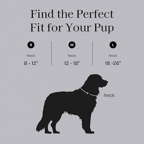Fei & Eve VERO Dog Collar, Twilight Gray, Medium | MagEase Magnetic Buckle, Waterproof PVC, Odor Resistant, Easy Clean, Heavy Duty - color: Twilight Gray, size: M
