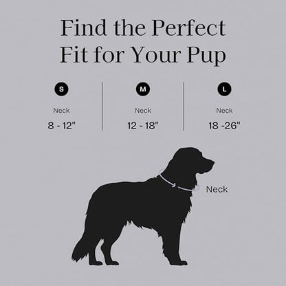 Fei & Eve VERO Dog Collar, Twilight Gray, Large | MagEase Magnetic Buckle, Waterproof PVC, Odor Resistant, Easy Clean, Heavy Duty - color: Twilight Gray, size: L