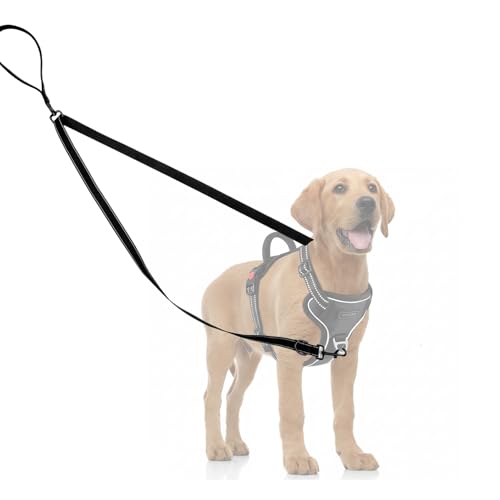 Two Point Control Dog Leash for No Pull Training - Reflective Training Leash for Dogs that Pull with Swivel Clip - Anti Pull Dog Harness for Medium Large Dogs