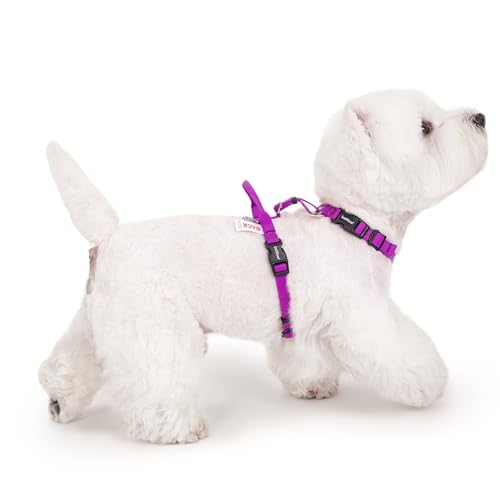 Non Restrictive Dog Harness, Purple, X-Small | Sewn-in Instructions Labels, Easy Walk, No Pull, 2 Clips for Back/Front, Neck Buckle - color: Purple, size: XS