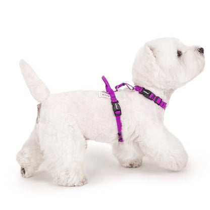 Non Restrictive Dog Harness, Purple, X-Small | Sewn-in Instructions Labels, Easy Walk, No Pull, 2 Clips for Back/Front, Neck Buckle - color: Purple, size: XS