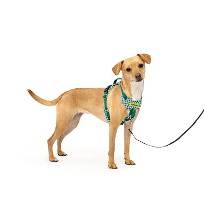 PetSafe Easy Walk Comfort No-Pull Dog Harness Padding - Better Walks on 1st Use - 5 Points of Adjustment XS, Green Gingham - color: Gingham, size: Extra Small