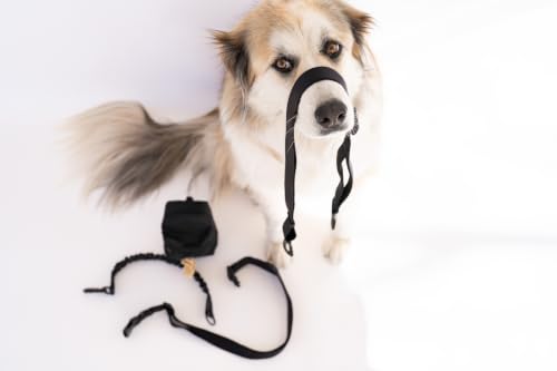 Premium Hands-Free Dog Leash with Pouch, Removable Bungee for Dog Walking, Running & Hiking, Adjustable Waist, Dual Use as Standard Lead, Shock Absorbing for Large & Medium Dogs, Black
