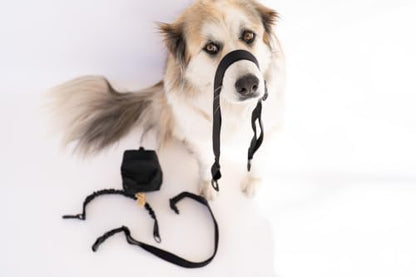Premium Hands-Free Dog Leash with Pouch, Removable Bungee for Dog Walking, Running & Hiking, Adjustable Waist, Dual Use as Standard Lead, Shock Absorbing for Large & Medium Dogs, Black