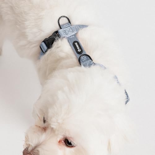 Fei & Eve Moxie Dog Harness for Small & Medium Dogs, Dusk Blue, S | Lightweight Design, 3-Point No-Pull Control, Quick Release Metal Buckle - color: Dusk Blue, size: S