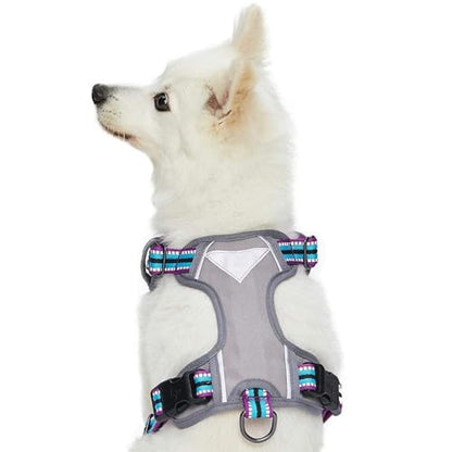 Blueberry Pet Dog Harness Soft & Comfy 3M Reflective Dog Harness Medium Sized Dog - color: Violet and Celeste, size: Small