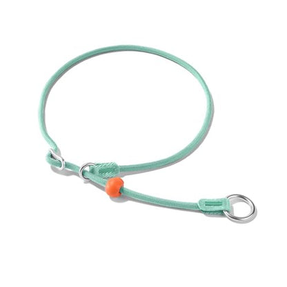 HowGo Slip Collar for Dogs,No Pull Adjustable Martingale Collar for Training, Nylon Rope,Dual Stopper and Durable Aluminum Hardware,Spring-Loaded,for Small Medium Large Dogs(MintGreen) - color: MintGreen