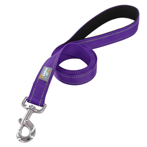 Dog Leash 6 FT Padded Handle Nylon Reflective Dogs Leashes for Small Dogs Puppy Leashes Purple - color: Refl Purple, size: Small : 5/8" x 6 FT