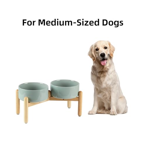 Havniva 7.3inch Ceramic Raised Dog Bowl with Stand, Double Dog Bowls Elevated for Medium Breed Dog Food and Water Bowl Set Non-Slip Dog Dish Large Capacity Feeding Pet Water Bowl - color: 2 Bowls+Stand - Light Green, size: 7.3inch