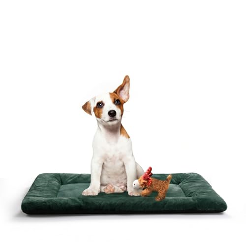 Dog Beds Crate Pad for Medium Dogs Fit Metal,Ultra Soft, Washable & Anti-Slip Kennel Pad for Dogs Cozy Sleeping Mat,Green 30inch - color: Green, size: 30.0"L x 19.0"W x 1.0"Th
