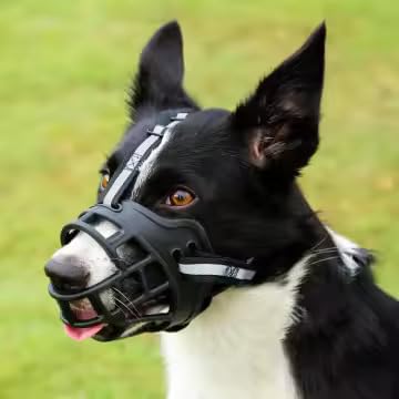 BreatheEZ Dog Muzzle – Soft Silicone Basket Muzzle for Small & Medium Dogs, Breathable Humane Fit, Prevents Biting Chewing Barking, Adjustable for Training Grooming Vet Visits - size: Small