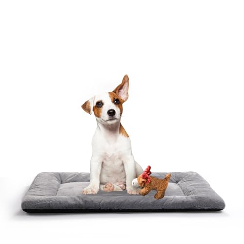 Dog Beds Crate Pad for Medium Dogs Fit Metal Dog Kennel,Ultra Soft Puppy Bed Washable & Anti-Slip Kennel Pad for Dogs Cozy Sleeping Mat,Gray 30inch - color: gray, size: 30.0"L x 19.0"W x 1.0"Th