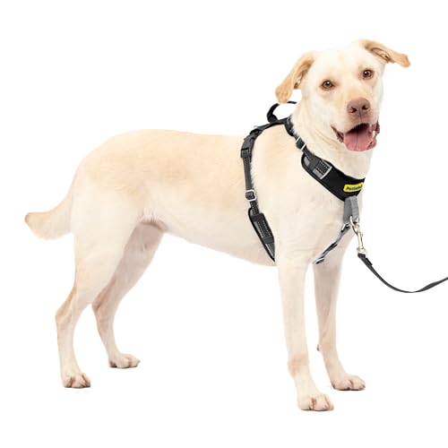 PetSafe Easy Walk Comfort No-Pull Dog Harness Full-Body Padding - Better Walks on the First Use - 5 Points of Adjustment Large, Black - color: Black, size: Large