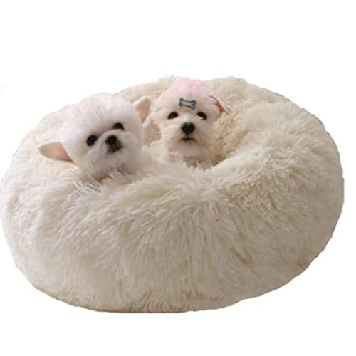 Modern Soft Plush Round Pet Bed for Cats or Small Dogs, Mini Medium Sized Dog Cat Bed Self Warming Autumn Winter Indoor Snooze Sleeping Cozy Kitty Teddy Kennel (24'' D x 8'' H, White) - color: White, size: Medium 24''