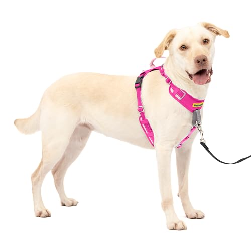 PetSafe Easy Walk Comfort No-Pull Dog Harness Full-Body Padding - Better Walks on the First Use - 5 Points of Adjustment Large, Pink - color: Pink, size: Large