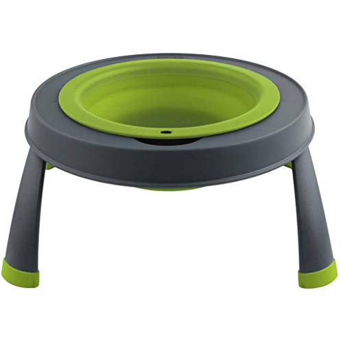 Dexas Popware for Pets Single Elevated Pet Feeder, Large, Gray/Green - color: Gray/Green, size: Large/4 Cup Capacity