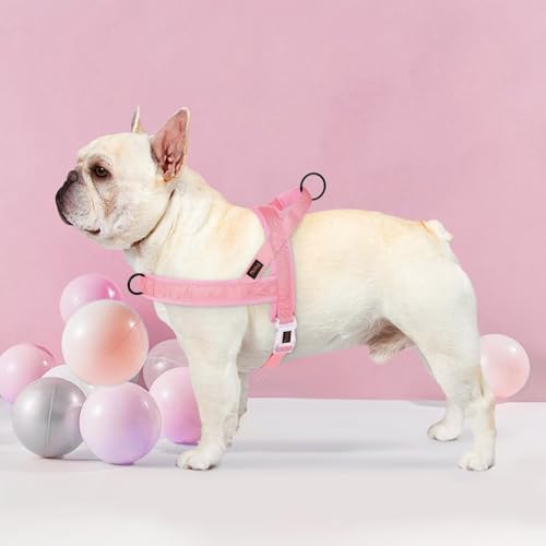 Didog No Pull Dog Harness with Breathable Mesh Padded, Quick Fit & Easy on Dog Vest Harness for Small Medium Large Dogs Training Walking(Pink,M) - color: Pink, size: M:Chest 22-27", Fit 28-50 lbs