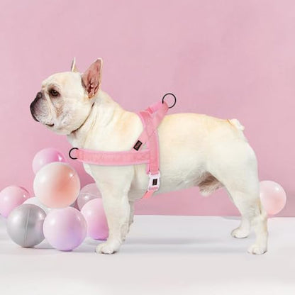 Didog No Pull Dog Harness with Breathable Mesh Padded, Quick Fit & Easy on Dog Vest Harness for Small Medium Large Dogs Training Walking(Pink,XS) - color: Pink, size: XS:Chest 15-19", Fit 8-17 lbs