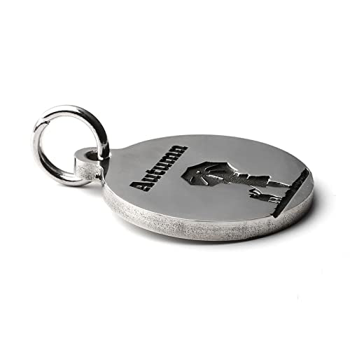 Deep Engraved Dog ID Tag Stainless Steel Personalized Customized Unique Pet ID Card Wolf Round (Rain S) - size: Rain S