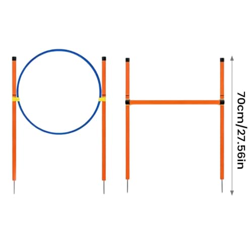 Agility Course for Dogs Exercise Game with Tunnel | Dog Playground Equipment for Outdoor Garden Park Beach Playground Field Competition Recreation - color: B