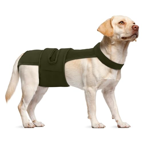 Dog Diapers Female Reusable Washable Period Diaper with Suspender,Adjustable Dog Panties Anti-Harassment, Doggie Diapers for Incontinence, Heat Cycles, or Senior Dogs（XS-XL - color: Army Green, size: L