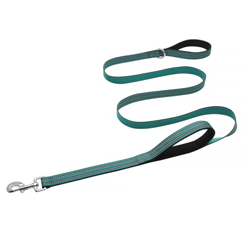 Hikiko 5 FT Heavy Duty Dog Leash with 2 Padded Handles Reflective Nylon Double Handle Dog Leash, Dark Green - color: Dark Green, size: 1 in x 5 ft