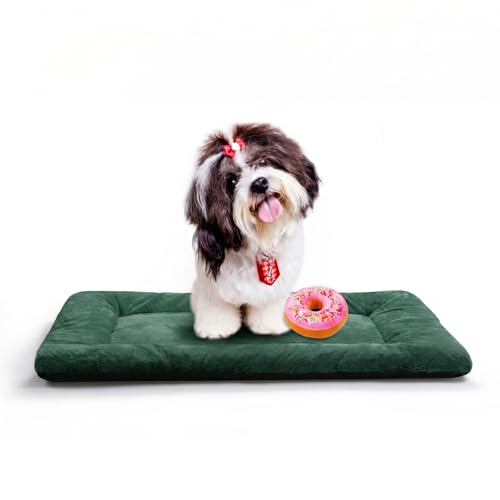 Dog Beds Crate Pad for Small Dogs Fit Metal,Ultra Soft, Washable & Anti-Slip Kennel Pad for Dogs Cozy Sleeping Mat,Green 24inch - color: Green, size: 24.0"L x 18.0"W x 1.0"Th