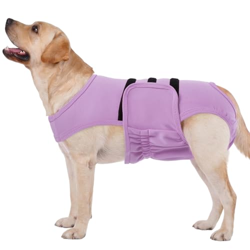 Lelepet Reusable Dog Diapers Female Large, Dog Period Panties, Washable Belly Band Dog with Suspenders, Dog in Heat Diaper, Soft Adjustable Doggie Onsie with Hole Tail, Purple, L - color: Purple, size: L