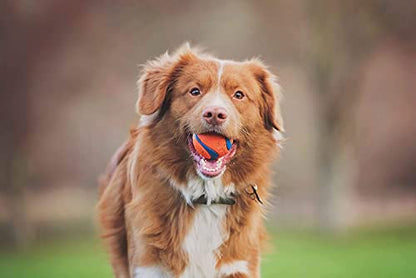 Chuckit! Fetch Pack - Chuck It Dog Ball Launcher 18 M, Tennis Ball, Ultra Rubber Ball and Ultra Fetch Stick Dog Gifts, Dog Toys Indestructible Dog Ball Thrower Launcher