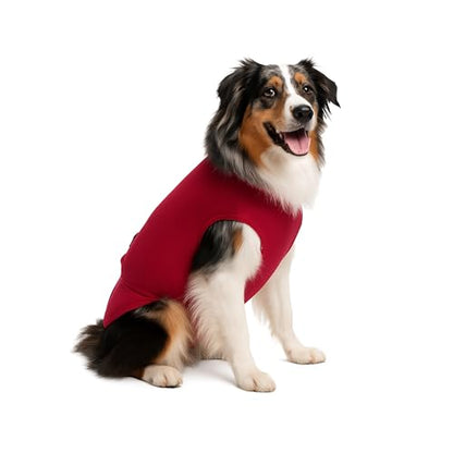 SurgiSnuggly Dog Suspenders for Diapers Female OR Male Disposable Dogggie Diapers Keeper It's A Dog Diaper Holder- Wrap Around Legs for Superior Fit, S RED