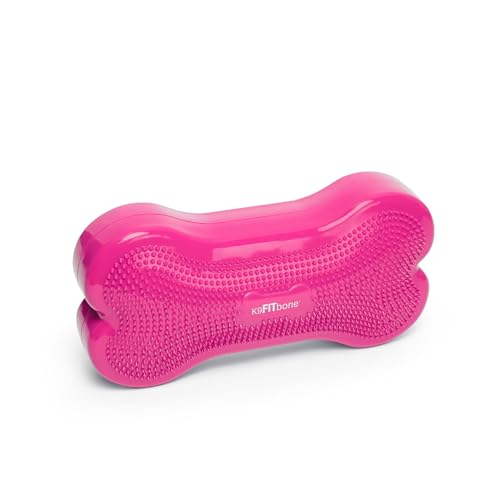 FitPAWS® K9FITbone® - Regular, Razzleberry | Dog Balance Training Platform & Exercise Equipment | Workout Tool for Strength, Core & Stability - color: Razzleberry
