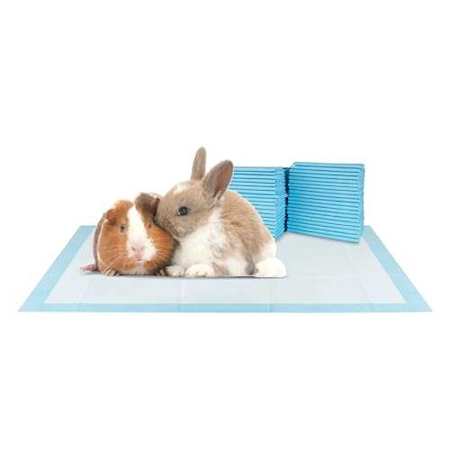 BV Small Puppy Pads 100 Count 17"x24" - Leak-Proof & Absorbent Pee Pads For Dogs with 6-Layer Design, Rapid Dry Sheet & Built-In Attractant - Dog Pad with Odor Control, Perfect for Puppies&Senior Dogs - size: Small / 100-Count (Standard)