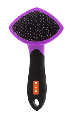 Hartz Groomer's Best Small Slicker Brush for Cats and Small Dogs, Black/Violet, 1 Count - size: 1 Count (Pack of 1), style: Small Slicker Brush