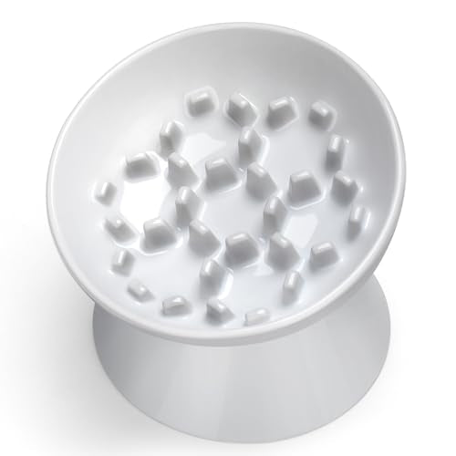 Ceramic Slow Feeder Cat Bowl, 2 Cups Tilted Elevated Cat Slow Feeder Bowl for Dry and Wet Food, Honeycomb Design for Preventing Vomiting & Bloating (White-Honeycomb) - color: White-Honeycomb