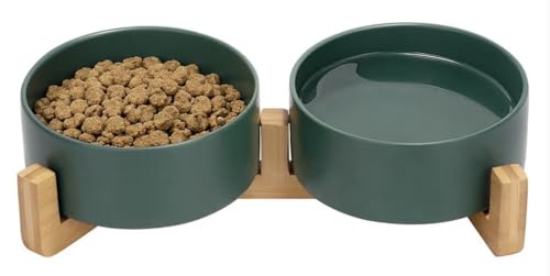 Ceramic Cat and Small Dog Bowl Set – Modern Indoor Small Size Pet Food and Water Bowls with Wood Stand – Non Slip Puppy Sized Feeding Station with Double Dishes (Green) - color: Green