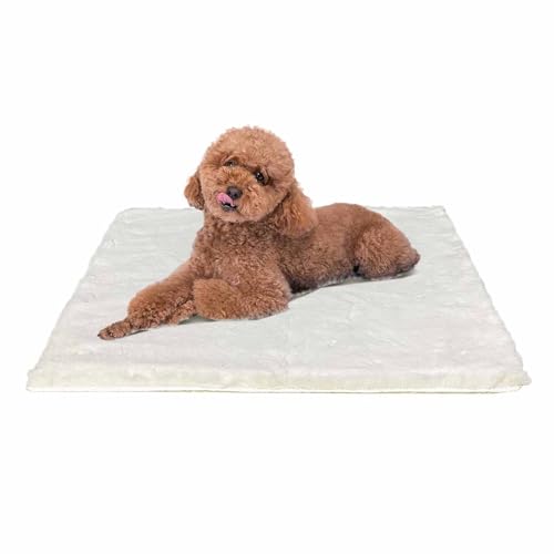 Dog Bed Mat Crate Pads for Dog Cages 24x17.7 Inch Washable Anti-Slip Dog Kennel Pad Soft Small Puppy Cage Cushion Liner, Beige - color: Beige, size: 24 in(L)×17.7 in(W)×1 in(H)
