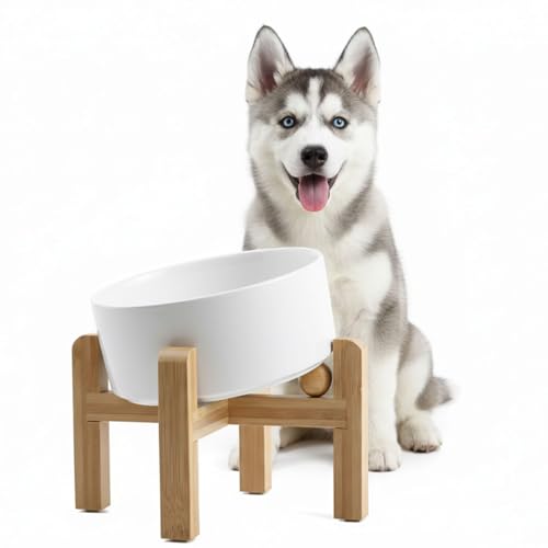 hjn Elevated Ceramic Dog Bowl 15°Slanted Raised Dog Bowl with Bamboo Stand for Small Medium Dogs and Cats, Pet Feeder -3.6-Cup (850ml)-White - color: White, size: 3.6Cup