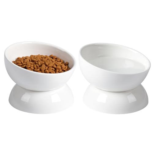 ABRUTY Cat Water Bowl, 16 OZ Ceramic Elevated Cat Bowls, 15° Tilted and Raised Pet Food Dish, Anti Vomiting Protect Pets' Spines and Whisker Fatigue - color: White, size: 2 Pack