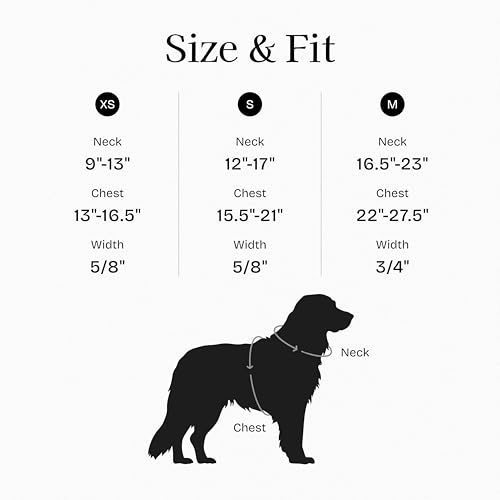 Fei & Eve Moxie Dog Harness for Small & Medium Dogs, Glacier Green, XS | Lightweight Design, 3-Point No-Pull Control, Quick Release Metal Buckle - color: Glacier Green, size: XS