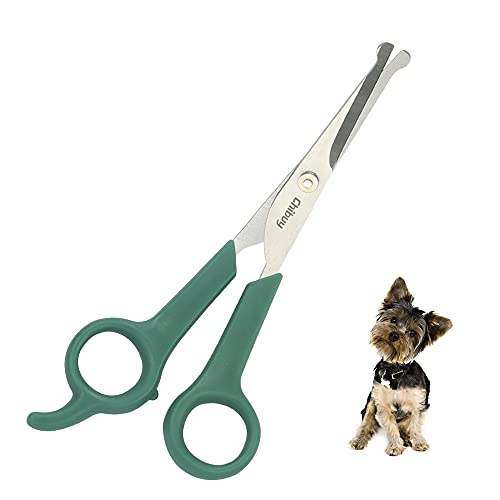 Chibuy Professional Pet Grooming Scissors with Round Tip Stainless Steel Dog Eye Cutter for Dogs and Cats, Professional Grooming Tool, Green, Size 6.70" x 2.6" x 0.43" - color: 4. Green