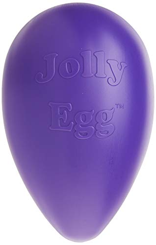 Jolly Pets Jolly Egg Dog Toy, 12 Inches/Large, Purple - color: Purple, size: Large (12 in)
