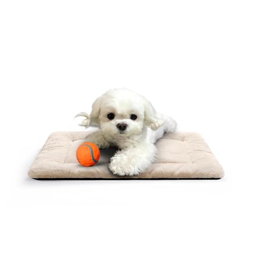 Dog Beds Crate Pad for Extra Small Dogs Ultra Soft Dog Crate Bed Washable & Anti-Slip Kennel Pad for Dogs Cozy Sleeping Mat,Cream 22inch - color: cream, size: 22.0"L x 13.0"W x 1.0"Th