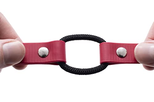 Educator 1-Inch Biothane Dog Training Collar Strap – ONLY Fits FE-580, ET-800 & UL-1200 Receivers – NOT Compatible with ET-300, ET-400 or 3/4-Inch Receivers – Quick Snap Bungee Collar, Red - color: Red