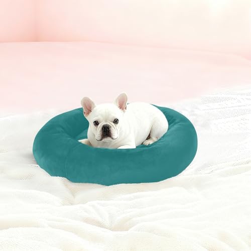 Plain Dark Teal Green Solid Color Calming Dog Bed for Cats & Small Medium Dogs, Washable Plush Round Donut Pet Bed with Soft Raised Rim, 13 inches Warm Anti-Slip Cushio - size: 13 inch