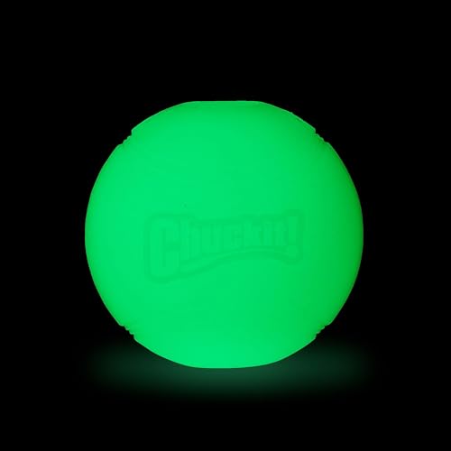 Chuckit! Glow in the Dark Bouncy Balls - Ball for Dogs, Chuckit Dog Toy, Max Glow Balls - Medium, 2.5 Inch, Pack of 4 - size: Medium