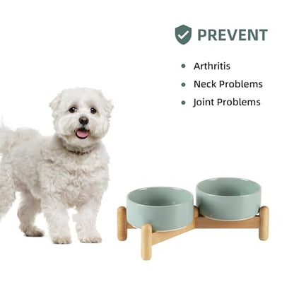 Havniva 5.1inch Ceramic Raised Dog Bowl with Stand, Double Dog Bowls Elevated for Small Breed Dog Food and Water Bowl Set Non-Slip Dog Dish Large Capacity Feeding Pet Water Bowl - color: 2 Bowls+Stand - Light Green, size: 5.1inch